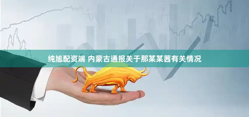 纯旭配资端 内蒙古通报关于那某某茜有关情况