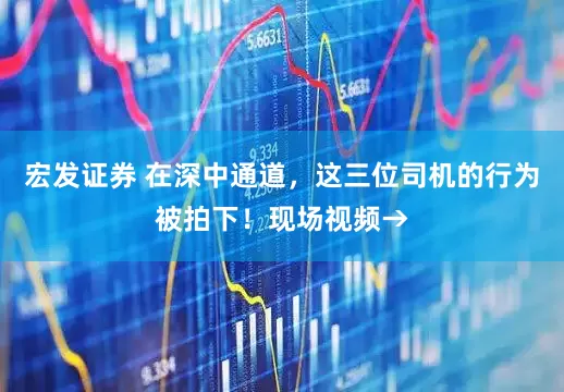 宏发证券 在深中通道，这三位司机的行为被拍下！现场视频→